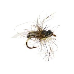 Olive Wing Foam Ant