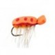Orange Foam Beetle