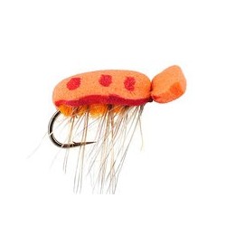 Orange Foam Beetle