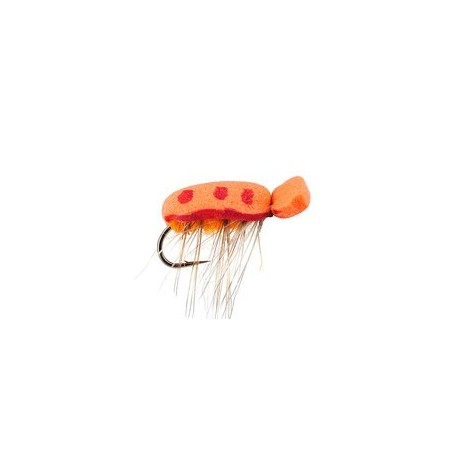 Orange Foam Beetle