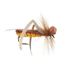 Orange Hopper