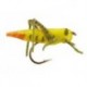 Orange Tail Hopper