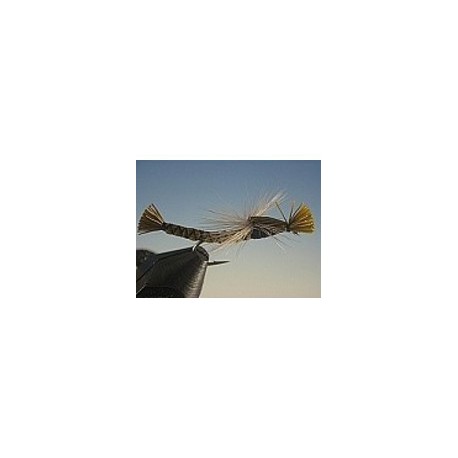 Parachute Damsel Olive