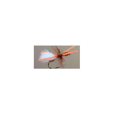 Power Ant