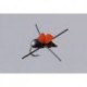 Rainy's Foam Beetle