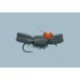 Rainys Black Ant