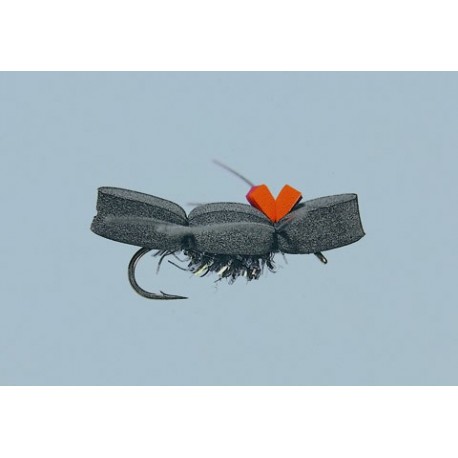 Rainys Black Ant