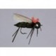 Rainys Black Gorilla Chernobyl Ant