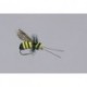Rainys Brown Gorilla Chernobyl Ant