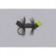 Rainys Bullet Head Cricket