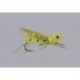 Rainys Busy Bee