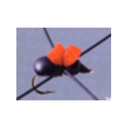 Rainys Cinnamon Ant