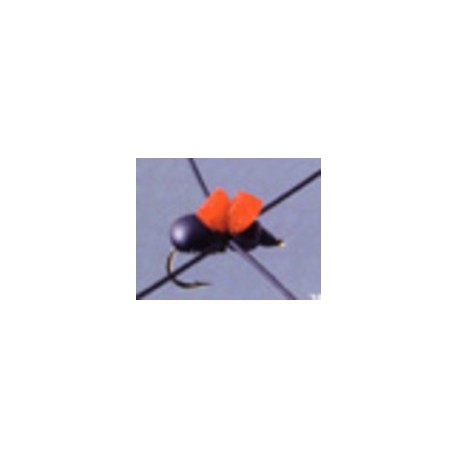 Rainys Cinnamon Ant