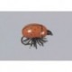 Rainys Kr Lady Bug