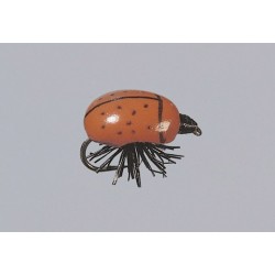 Rainys Kr Lady Bug