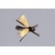 Rainys Magnum Cicada