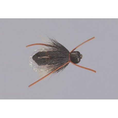 Rainys Mondo Cicada