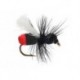 Red but Ant