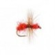 Red Ugly Ant