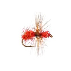 Red Ugly Ant