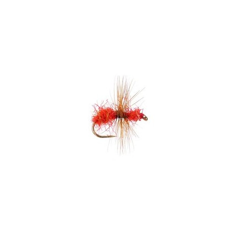 Red Ugly Ant