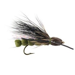 Roque Giant Olive