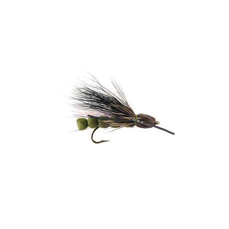 Roque Giant Olive
