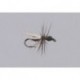 Smiths (Hackled) Black Ant