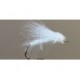 Spruce Moth