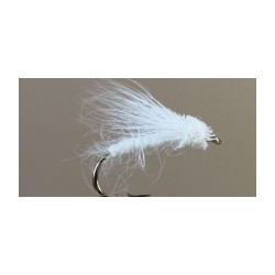 Spruce Moth