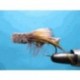 Spun Hair Hopper