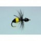 Steeves Attract Ant Blk Red