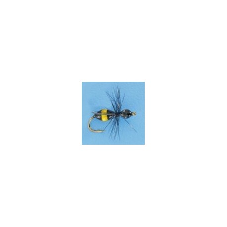 Steeves Attract Ant Blk Yellow