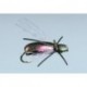 Steeves Flying Loco Beetle