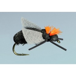 Steeves House Fly
