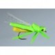 Steeves Katydid