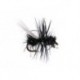 Tangled Winged Black Ant
