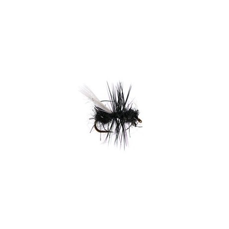 Tangled Winged Black Ant