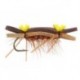 Tonis Bright Brown Superb Chernobyl Ant