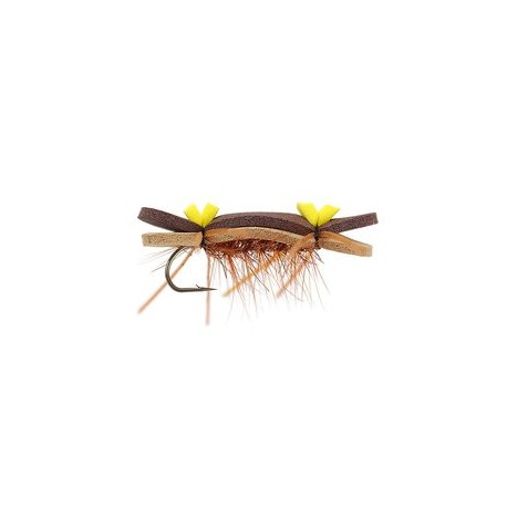Tonis Bright Brown Superb Chernobyl Ant