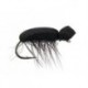Tonis Foam Beetle