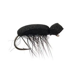 Tonis Foam Beetle