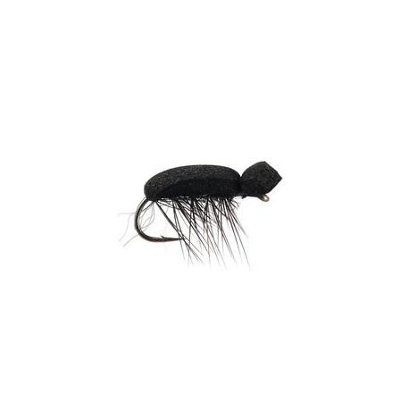 Tonis Foam Beetle