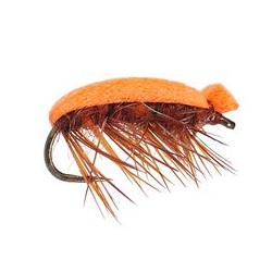 Tonis Orange Foam Beetle