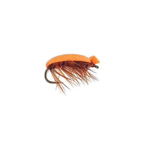 Tonis Orange Foam Beetle