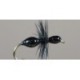 Transpar Ant (Black)