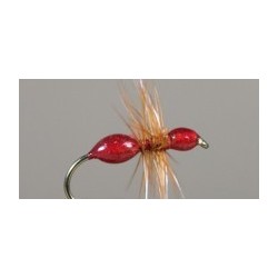 Transpar Ant (Red)