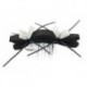 Tschernobyl Ant Black