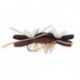 Tschernobyl Ant Brown