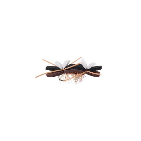 Tschernobyl Ant Brown